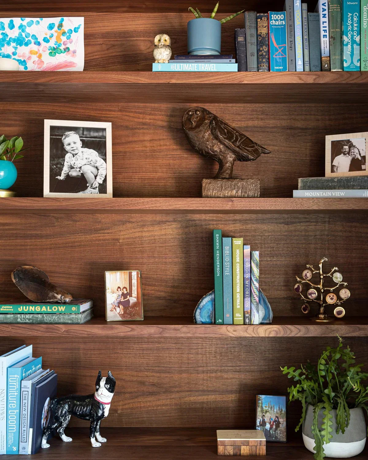 Styling Your Space With Plants