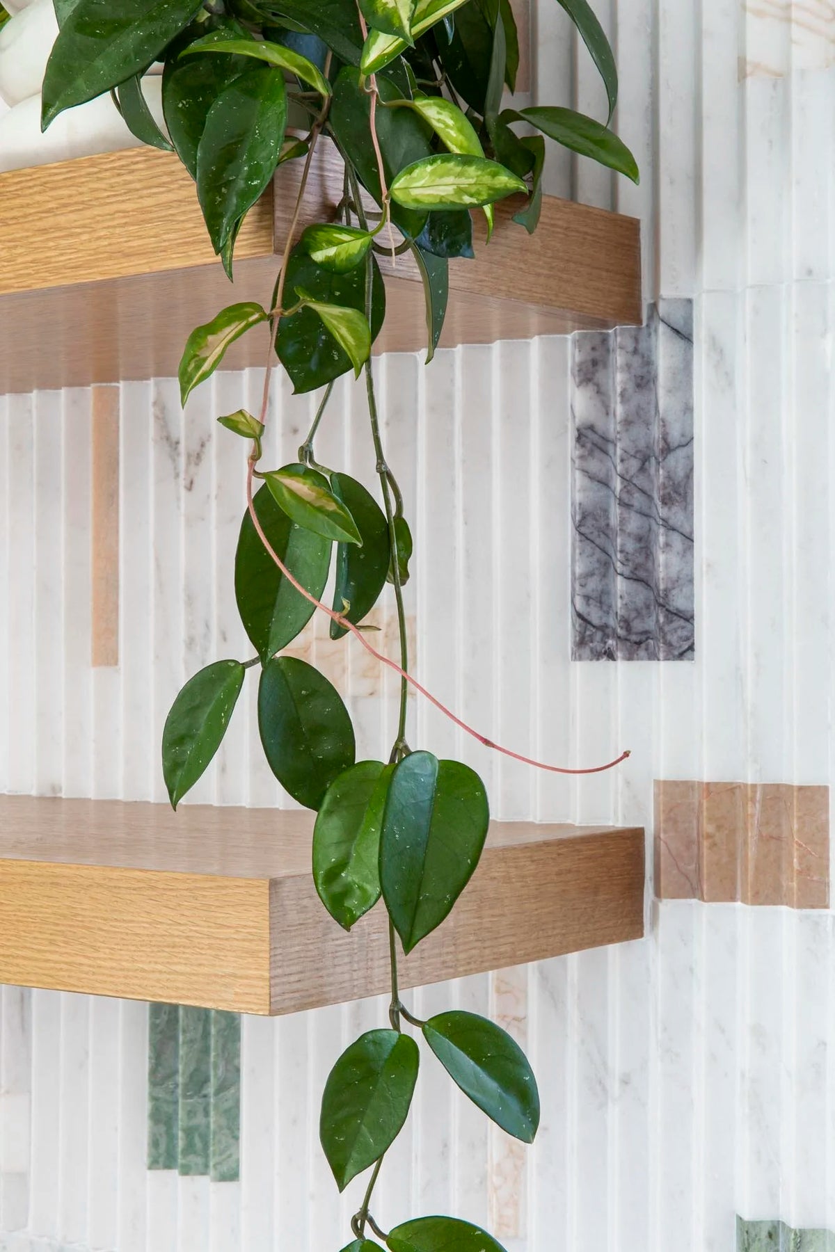 Slender House project gallery